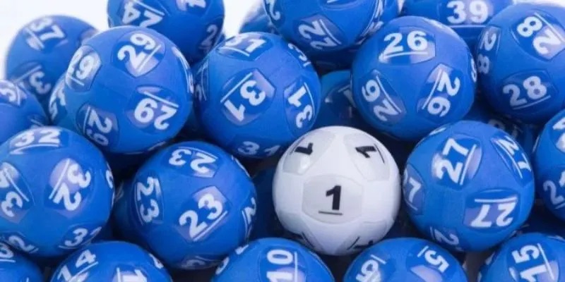 Chọn phương pháp bắt bạch thủ ngon nhất